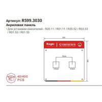 R599.3030