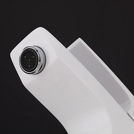 G1007-7_4