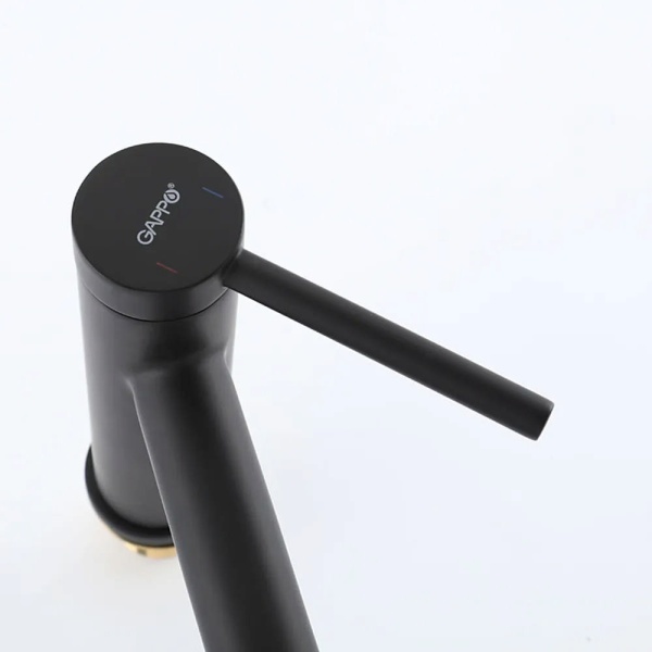 G1006-6_4