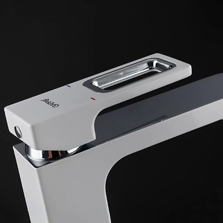G1017-8_1
