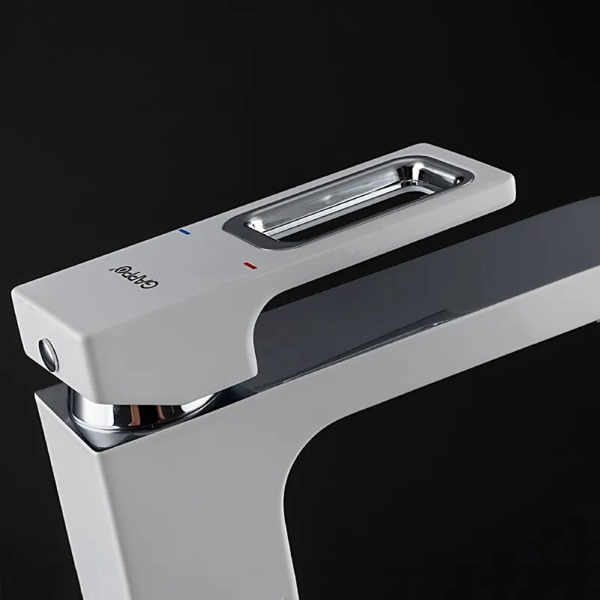 G1017-8_1