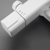 G2491-8_3
