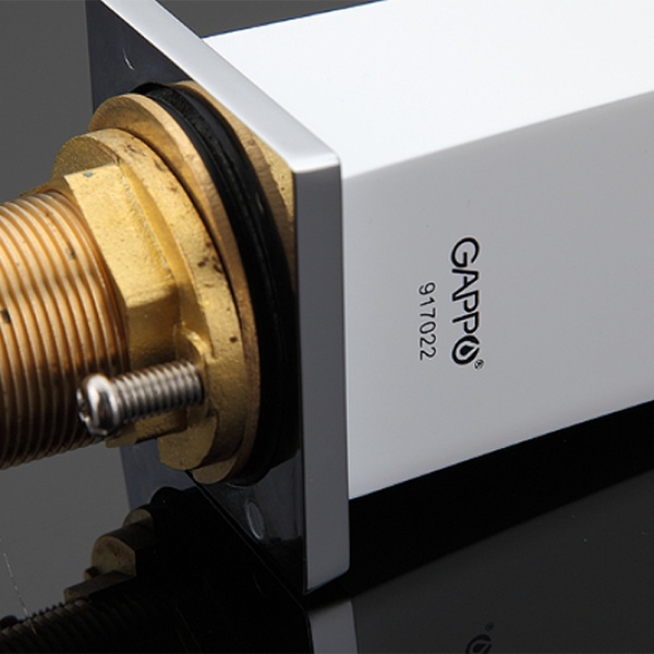 G1007-8_4